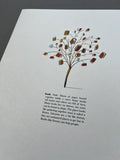 Edition Print - The Dictionary Story - Book - Limited Edition