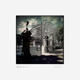 Botanic Gardens Unframed