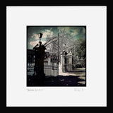 Belfast - Botanic Gardens Black Frame (No Mount)