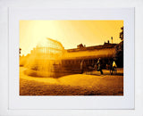 Botanic Gardens Three White Frame