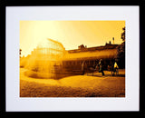 Botanic Gardens Three Black Frame