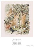 Peter Rabbit - Little Bunnies