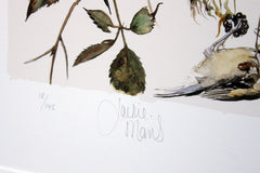 The Lost Words - Bramble
