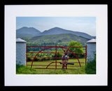 Mournes - Brandy The Donkey Framed