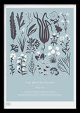 Nature - British Coast Plants in Blue Black frame