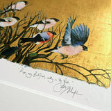 The Book Of Birds - Bullfinch - Premium Edition