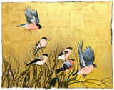 The Book Of Birds - Bullfinch - Premium Edition