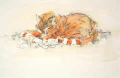 Original Animals - Cat Series 2
