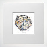 Print Open Edition Animals - Catnap-12 x 12-Small Flat White Frame