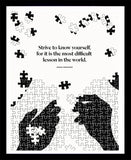 Cervantes - Know Yourself - Framed
