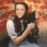 Cindy Sherman's Dog