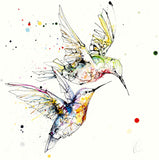 Print Open Edition Animals - Circling