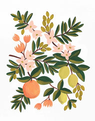 Citrus Floral