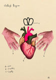 Claddagh Diagram