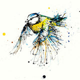 Print Open Edition Animals - Coat of Colour