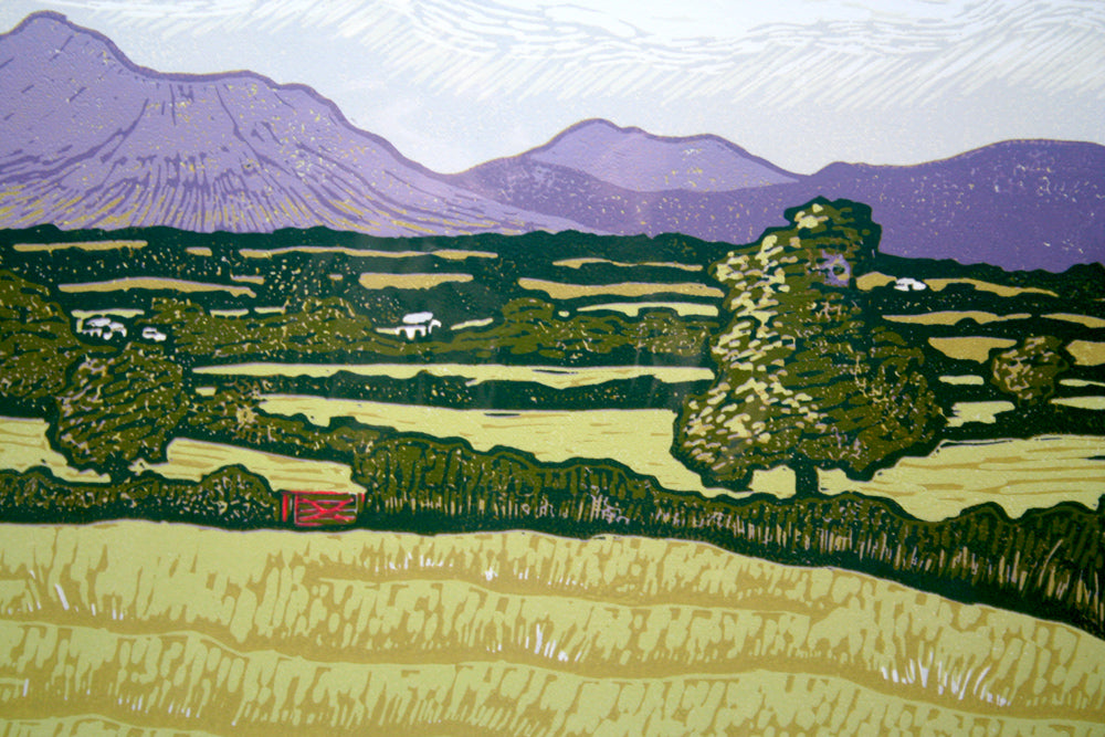 Linocut Print - Co Down Cock And Hen 2013