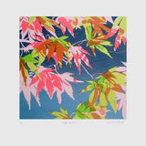 Colours Of Autumn Unframed