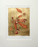 The Lost Words - Conker Premium Edition Artist Proof Unframed