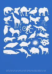 Nature - Creatures A-Z in Blue