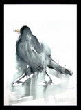 Original - Crow Black Box Frame