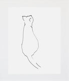 Curious Cat Unframed