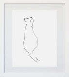 Curious Cat White Frame