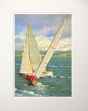 Other - Cutting it Fine Unframed 60x47.5