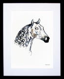 Animals Horse - Dappled Horse Colour Black Frame