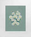 Daisies Sage - Unframed
