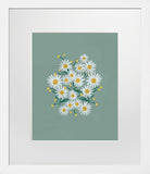 Daisies Sage - White Frame