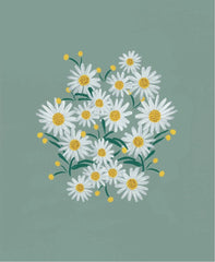 Daisies Sage