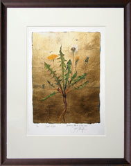 The Lost Words - Dandelion Premium Edition Artist Proof Brown Scoop Frame