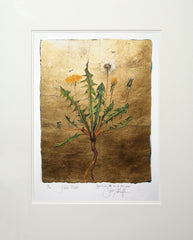 The Lost Words - Dandelion Premium Edition Unframed