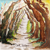 Dark Hedges