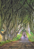 Co Antrim - The Dark Hedges