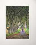 Co Antrim - The Dark Hedges Unframed 60x47.5