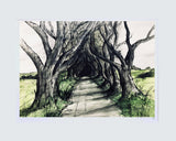 Sketchbook on Paper - Dark Hedges Unframed