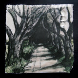 Memories - Dark Hedges