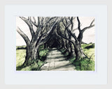 Sketchbook on Paper - Dark Hedges White  Frame