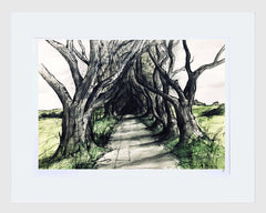 Sketchbook on Paper - Dark Hedges White  Frame