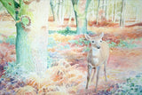 Deer In Woods
