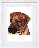 Devoted Friend White Frame