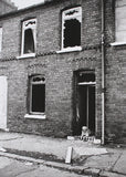 Digital Print - Dog House 1988