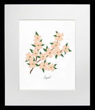 Dogwood Black Frame