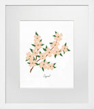 Dogwood White Frame