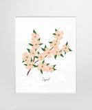 Dogwood Unframed