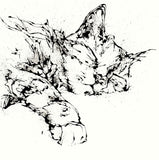 Print Open Edition Animals - Dreamer 