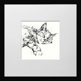 Print Open Edition Animals - Dreamer -12 x 12-Small Flat Black Frame