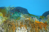 Early Morning Coastline