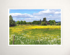 Other - Fields Of Summer Unframed